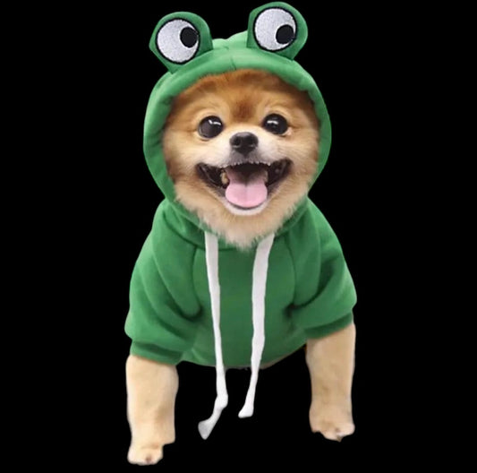 dog or cat hoodie frog costumes